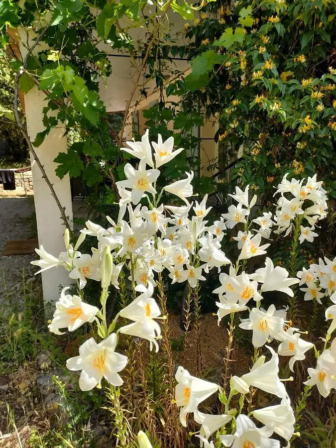 O'Fildl'Eau Gite Sillans-la Cascade